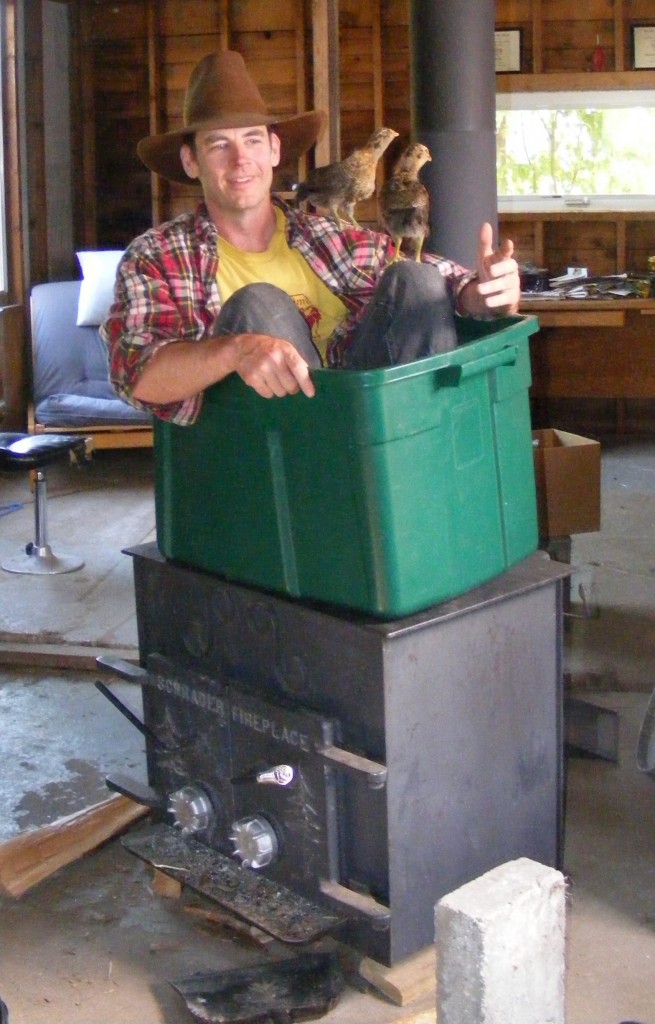 dude sitting on a woodstove in a plastic bin, with two chickens