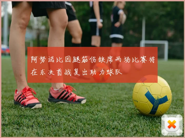 阿努诺比因腿筋伤缺席两场比赛将在东决首战复出助力球队