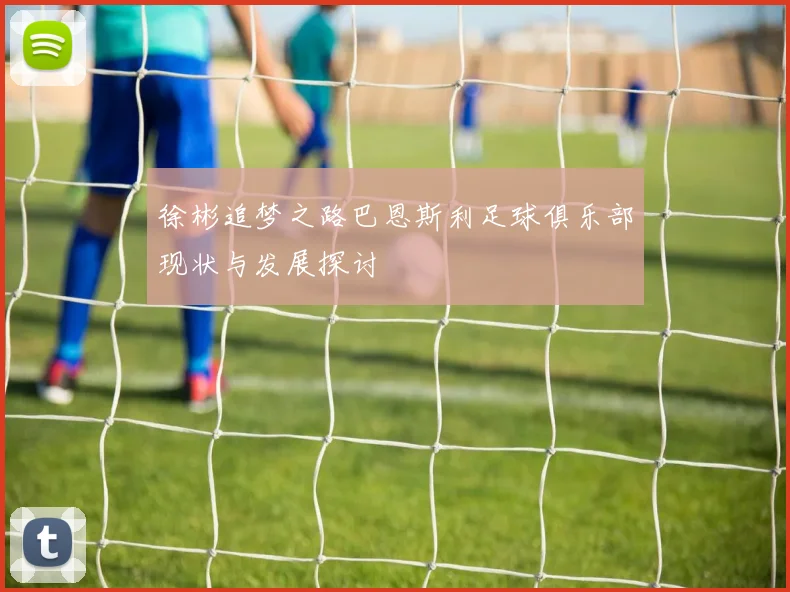 徐彬追梦之路巴恩斯利足球俱乐部现状与发展探讨
